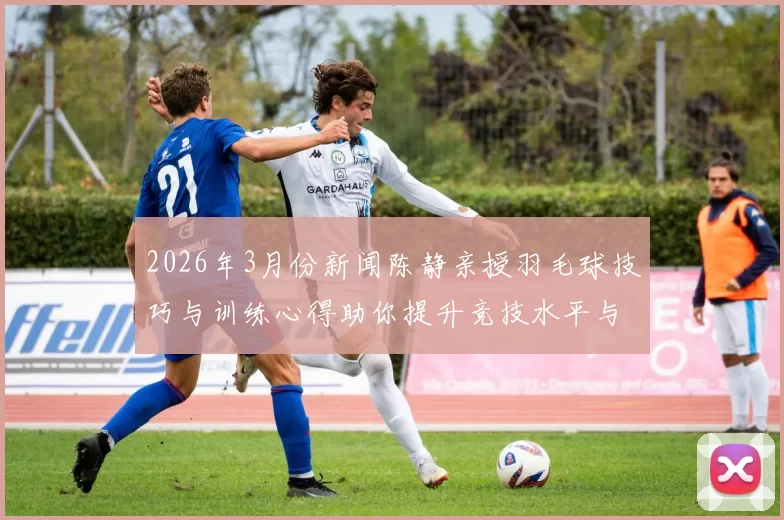 2026年3月份新闻陈静亲授羽毛球技巧与训练心得助你提升竞技水平与比赛表现